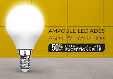 ampoule led professionnel a faible consommation de 13w et température de couleur 6500k blanc froid