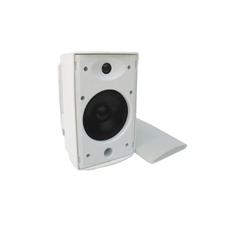 ZERDA Haut Parleurs Murale Woofer 4 Pouces  