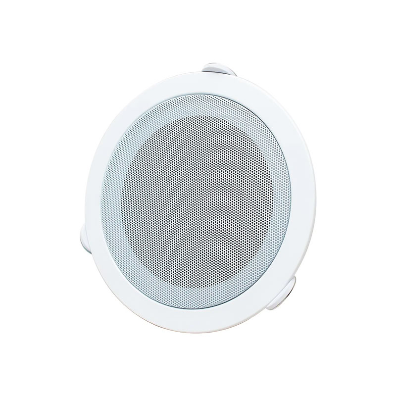 ZERDA Haut Parleurs de Plafond Woofer 5 Pouces 6W