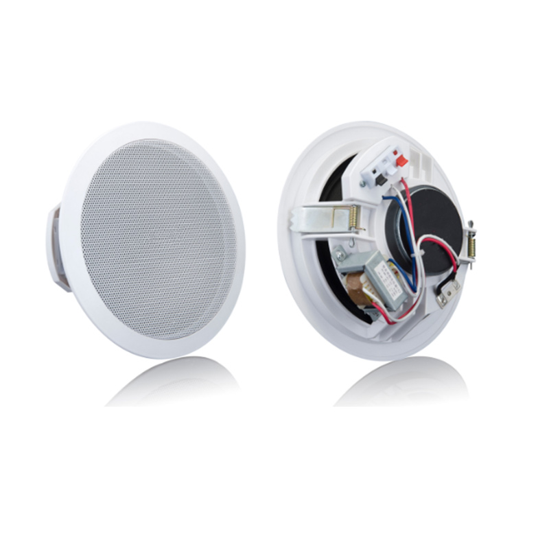 ZERDA Haut Parleurs de Plafond Woofer 8 Pouces 10W