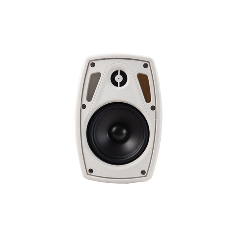 Haut Parleur Murale Woofer 4 Pouces 20W ZERDA