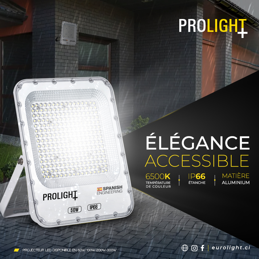 Projecteur Led Prolight+ en  Aluminum 50W SMD2835 AC100-265V 110lm/W IP66 6500K