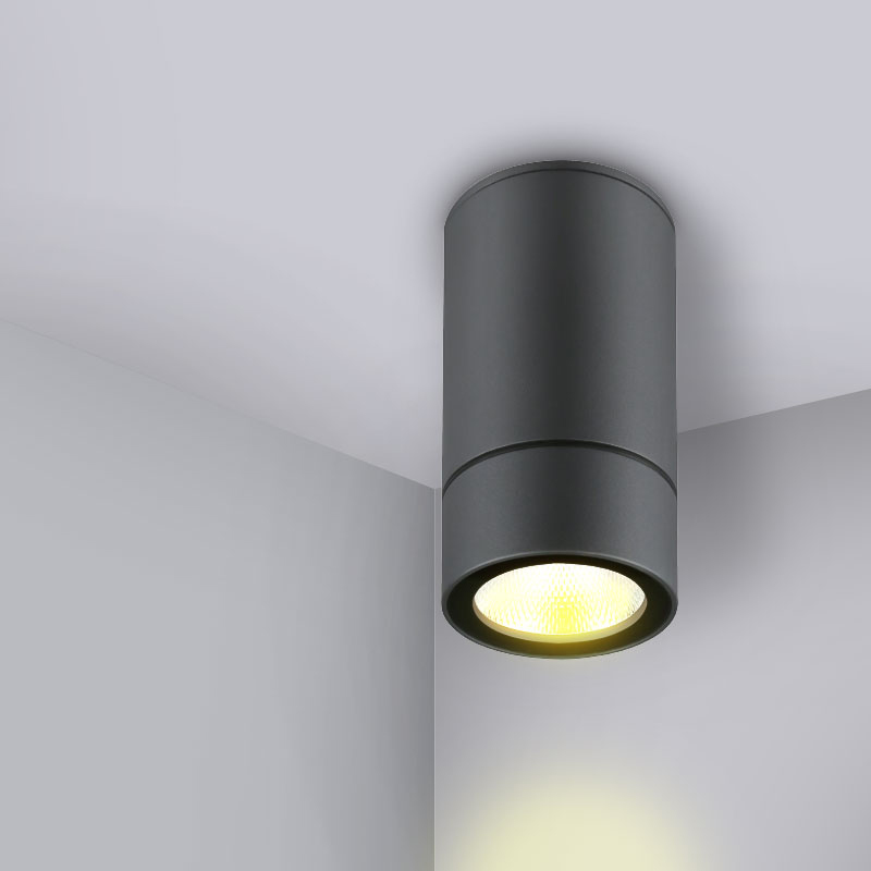 outdoor ceiling spot light 