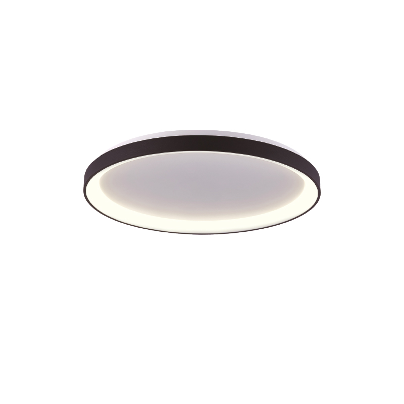 2CCT DIP SWITCH indoor LED ceiling light available in 3000K+4000K