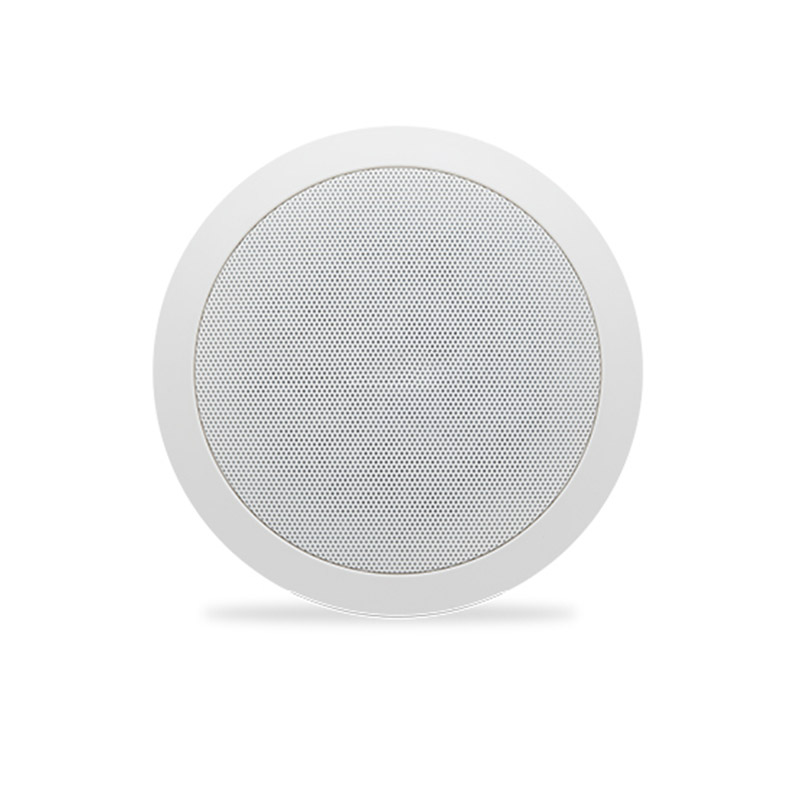 Ceiling speaker with 6 inch woofer, 6W rated power/ 130Hz--20KHz frequency response/ and 93dB sensitivity. 