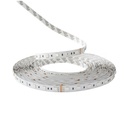 RGB STRIP LED COB  PROLIGHT+  12V / 756 LEDS / IP20