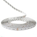 RGB STRIP LED 5050 PROLIGHT+  12V / 60 LEDS / IP20