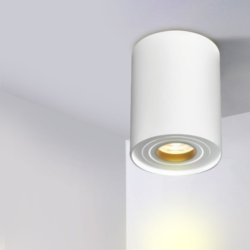 surface mounted downlight in white