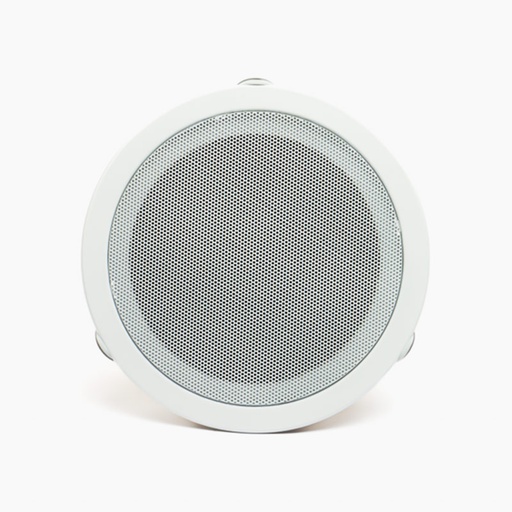 Ceiling Speaker with 6 Inch Woofer, 6W Rated Power/ frequency response of 70Hz--18KHz/ and a sensitivity of 92dB. 